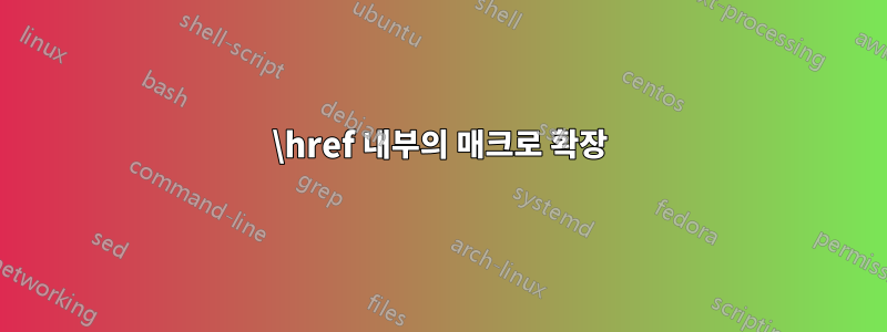 \href 내부의 매크로 확장