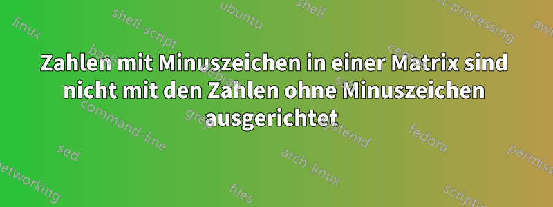 Zahlen mit Minuszeichen in einer Matrix sind nicht mit den Zahlen ohne Minuszeichen ausgerichtet 