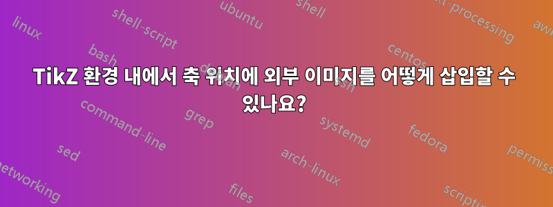 TikZ 환경 내에서 축 위치에 외부 이미지를 어떻게 삽입할 수 있나요?