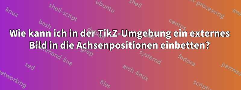 Wie kann ich in der TikZ-Umgebung ein externes Bild in die Achsenpositionen einbetten?