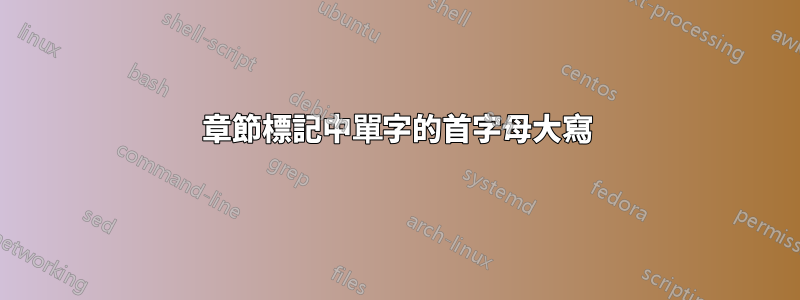 章節標記中單字的首字母大寫