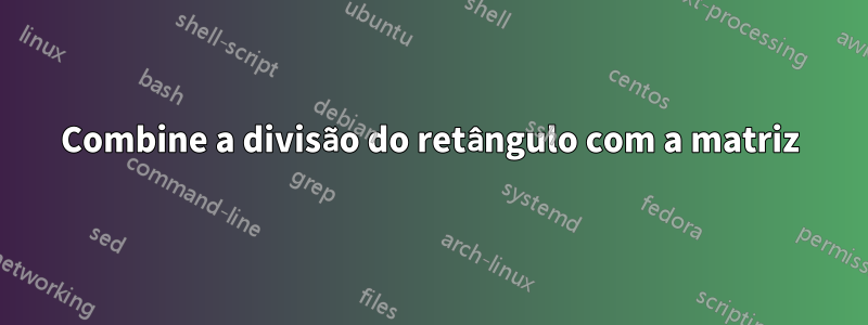 Combine a divisão do retângulo com a matriz