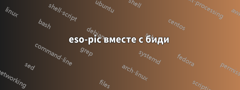 eso-pic вместе с биди