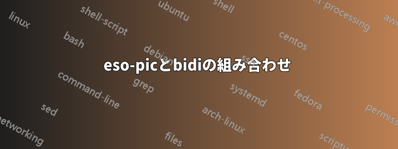 eso-picとbidiの組み合わせ