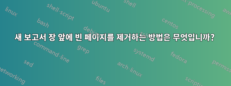 새 보고서 장 앞에 빈 페이지를 제거하는 방법은 무엇입니까?