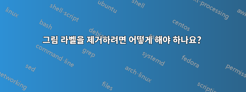 그림 라벨을 제거하려면 어떻게 해야 하나요?