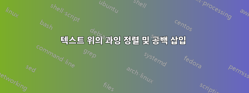텍스트 위의 과잉 정렬 및 공백 삽입