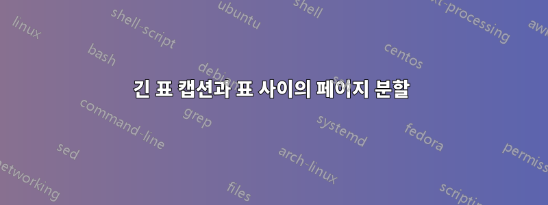 긴 표 캡션과 표 사이의 페이지 분할
