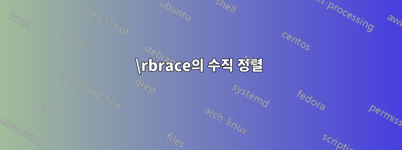 \rbrace의 수직 정렬
