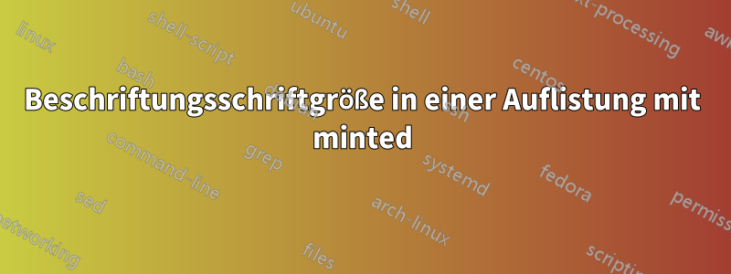 Beschriftungsschriftgröße in einer Auflistung mit minted