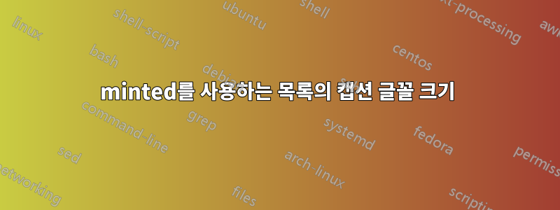 minted를 사용하는 목록의 캡션 글꼴 크기