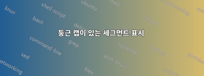 둥근 캡이 있는 세그먼트 표시