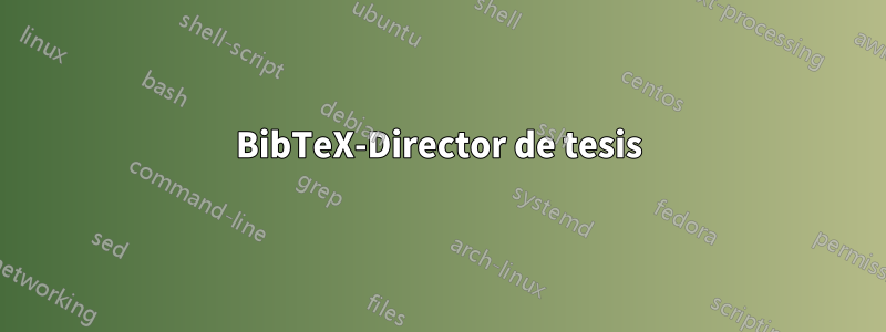 BibTeX-Director de tesis