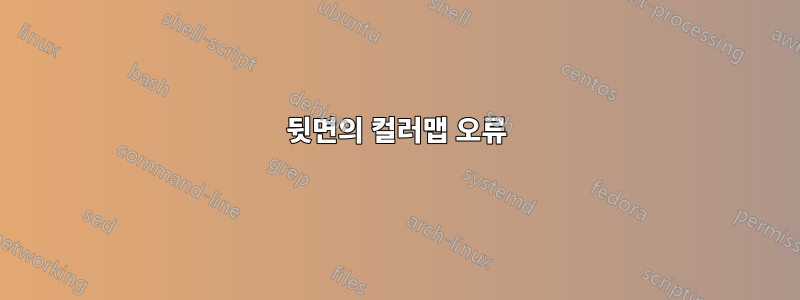 뒷면의 컬러맵 오류