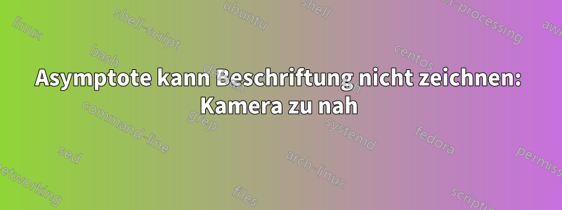Asymptote kann Beschriftung nicht zeichnen: Kamera zu nah