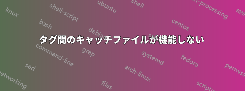 タグ間のキャッチファイルが機能しない
