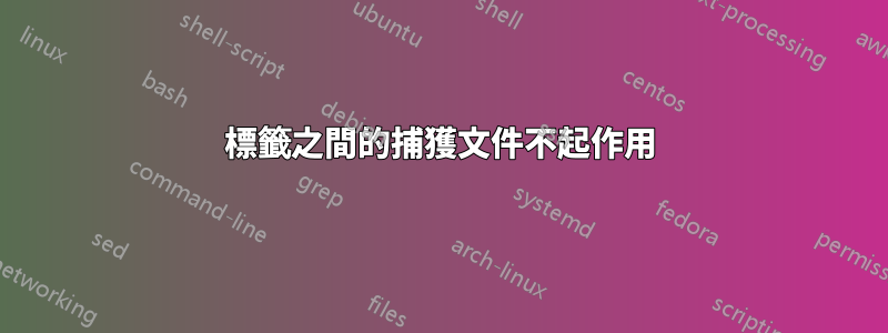 標籤之間的捕獲文件不起作用