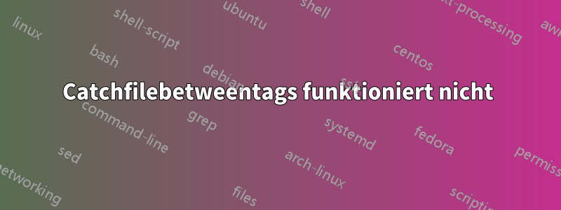 Catchfilebetweentags funktioniert nicht