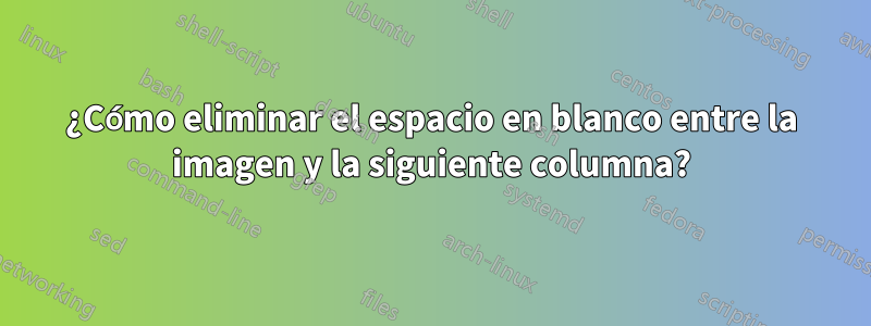 ¿Cómo eliminar el espacio en blanco entre la imagen y la siguiente columna?