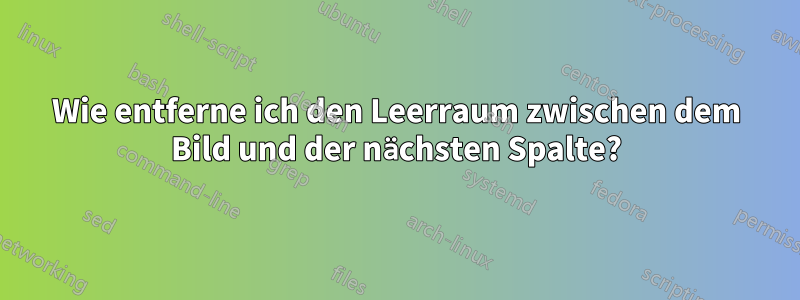 Wie entferne ich den Leerraum zwischen dem Bild und der nächsten Spalte?