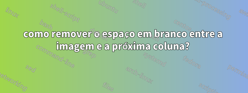 como remover o espaço em branco entre a imagem e a próxima coluna?