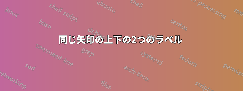 同じ矢印の上下の2つのラベル
