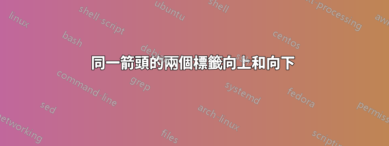 同一箭頭的兩個標籤向上和向下