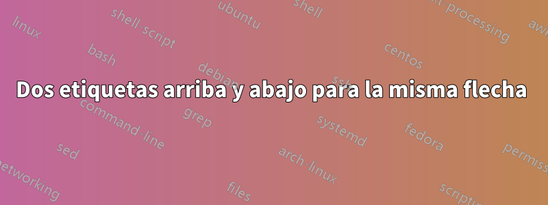 Dos etiquetas arriba y abajo para la misma flecha