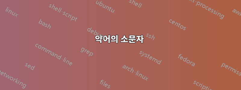 약어의 소문자