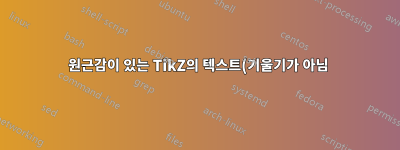 원근감이 있는 TikZ의 텍스트(기울기가 아님)