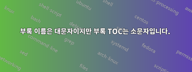 부록 이름은 대문자이지만 부록 TOC는 소문자입니다.