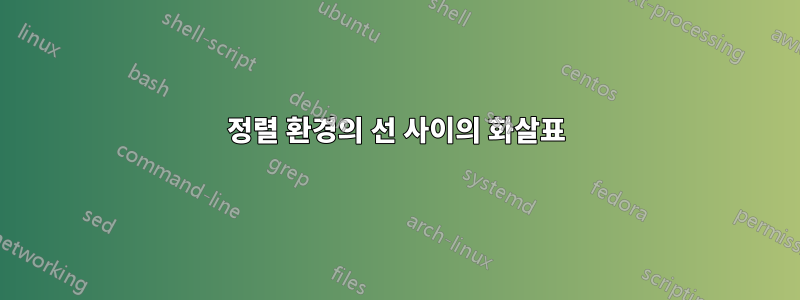 정렬 환경의 선 사이의 화살표