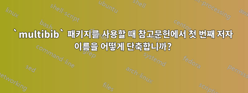 `multibib` 패키지를 사용할 때 참고문헌에서 첫 번째 저자 이름을 어떻게 단축합니까?