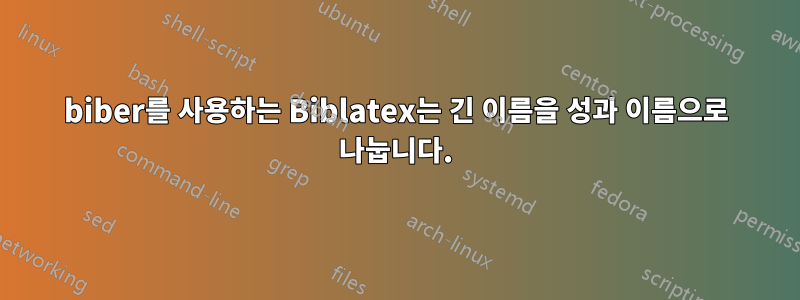 biber를 사용하는 Biblatex는 긴 이름을 성과 이름으로 나눕니다.