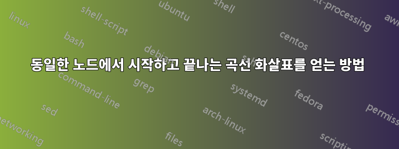 동일한 노드에서 시작하고 끝나는 곡선 화살표를 얻는 방법