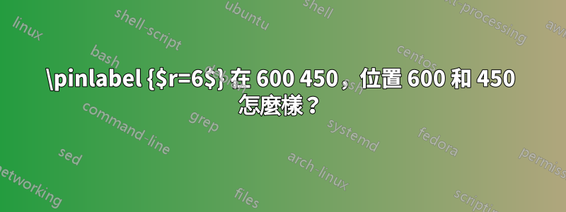 \pinlabel {$r=6$} 在 600 450，位置 600 和 450 怎麼樣？