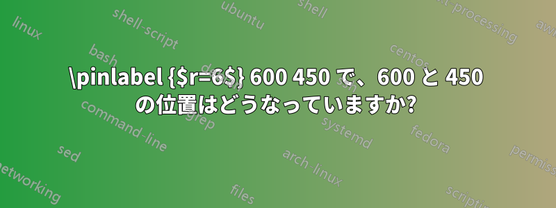 \pinlabel {$r=6$} 600 450 で、600 と 450 の位置はどうなっていますか?