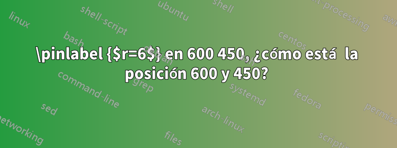 \pinlabel {$r=6$} en 600 450, ¿cómo está la posición 600 y 450?