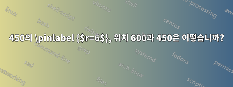 600 450의 \pinlabel {$r=6$}, 위치 600과 450은 어떻습니까?