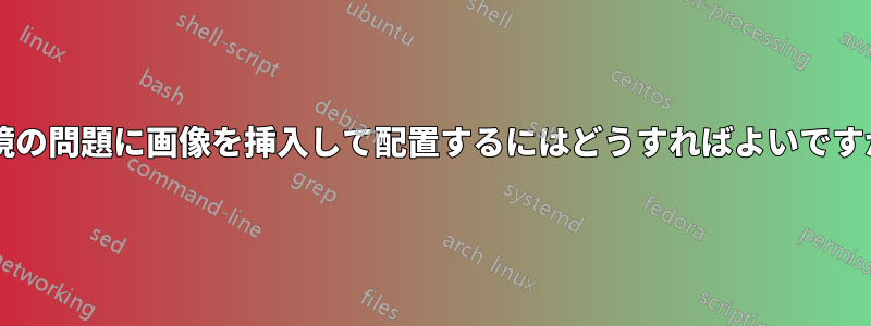 環境の問題に画像を挿入して配置するにはどうすればよいですか?