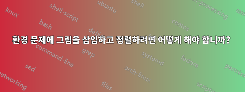 환경 문제에 그림을 삽입하고 정렬하려면 어떻게 해야 합니까?