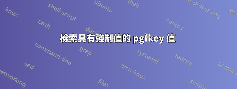 檢索具有強制值的 pgfkey 值