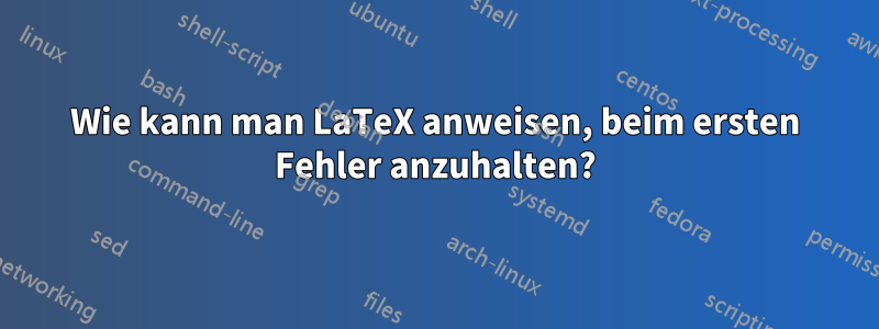 Wie kann man LaTeX anweisen, beim ersten Fehler anzuhalten?