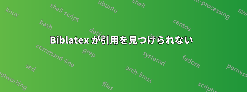 Biblatex が引用を見つけられない 