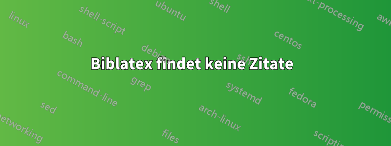 Biblatex findet keine Zitate 