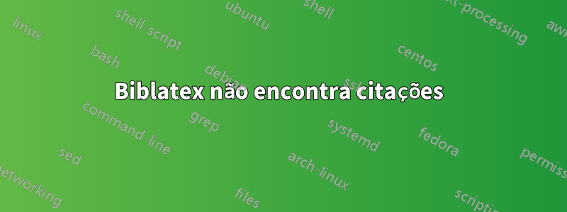 Biblatex não encontra citações 