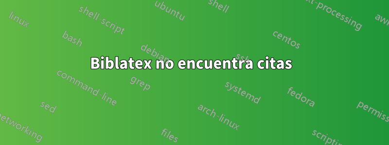 Biblatex no encuentra citas 