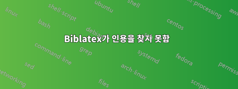 Biblatex가 인용을 찾지 못함 