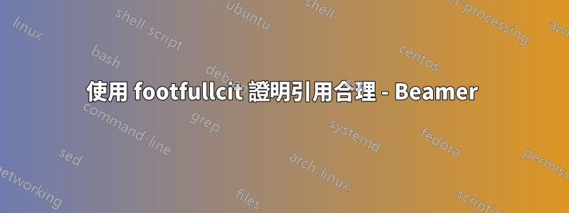 使用 footfullcit 證明引用合理 - Beamer