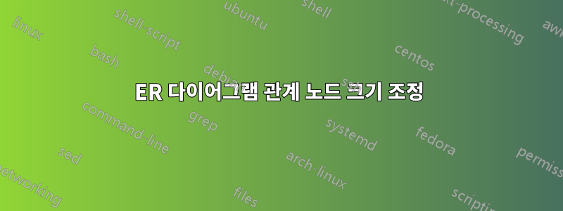 ER 다이어그램 관계 노드 크기 조정